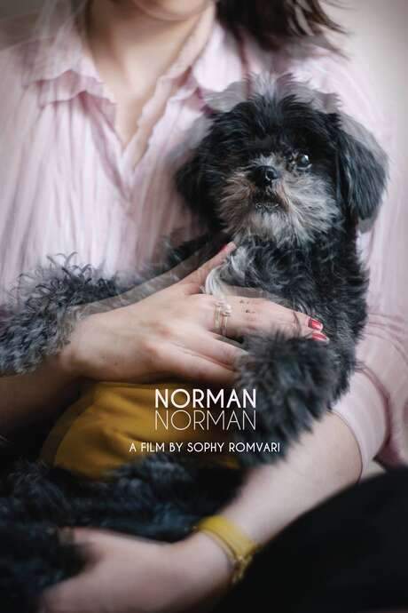 Norman Norman